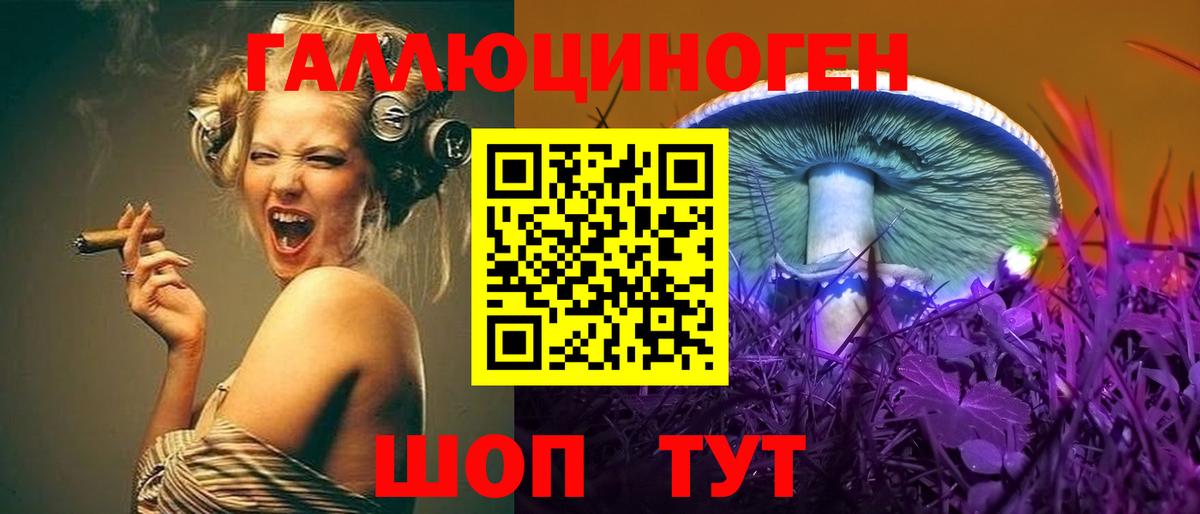 Псилоцибиновые грибы мицелий Изобильный